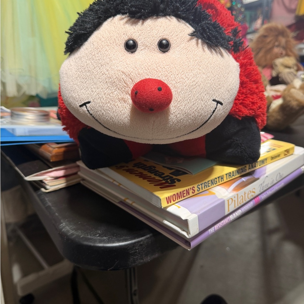 Cute Ladybug Plush Toy